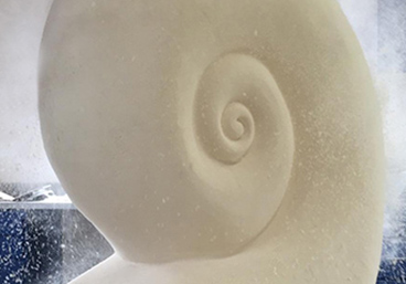 Foam Plug